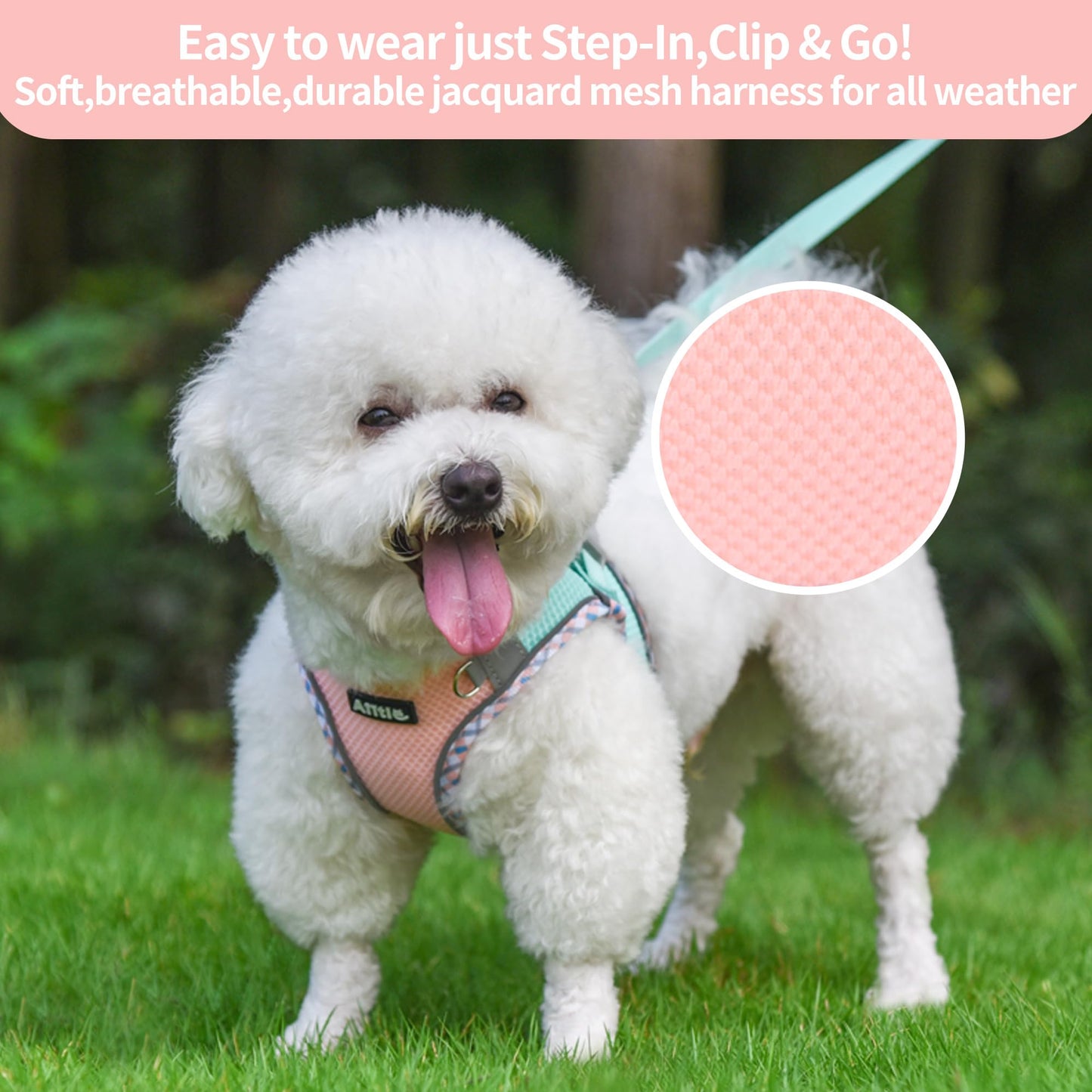 AIITLE Tiny Dog Harness - Lightweight Mesh Step-in Vest for Puppy, Reflective & Escape-Proof Design with High-Stick Velcro - Indoor/Outdoor Use for Chihuahua, Maltese, Shih Tzu(Turquoise-Pink, XXXS)