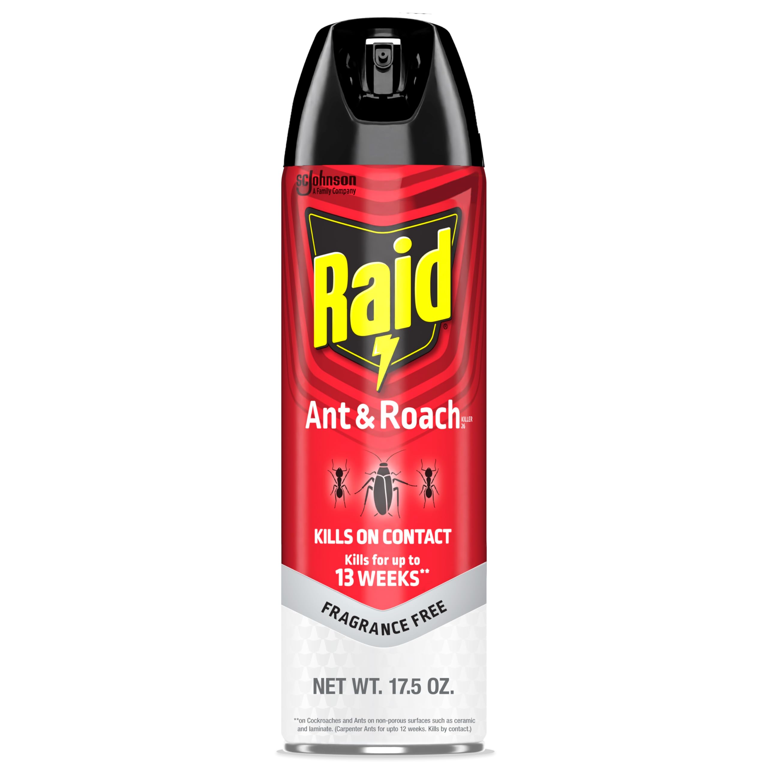 Raid Ant and Roach Killer, Fragrance Free, 17.5 OZ – Shop Spikes