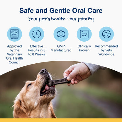 ProDen PlaqueOff 13 Dental Bones for Medium & Large Dogs, Tartar, Plaque & Bad Breath Remover, Improves Overall Oral Health, Pack of 2 (Chicken)