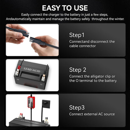 Foval Automatic Trickle Battery Charger 12V 1000mA Smart Battery Charger