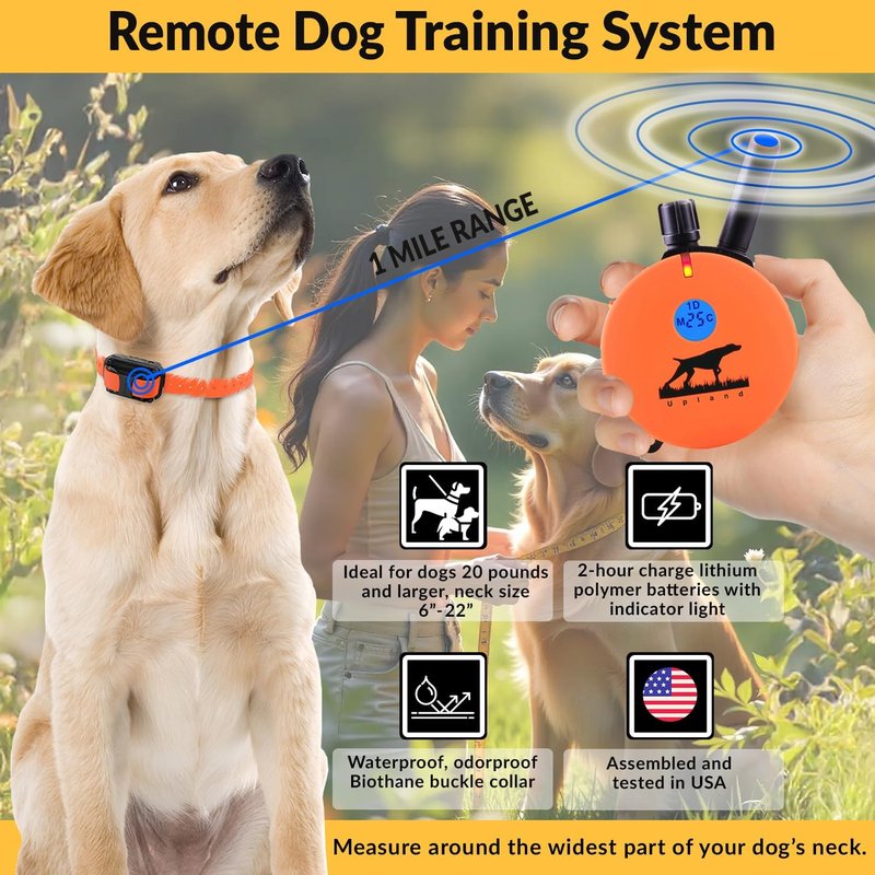 Educator E-Collar Dog Training Collar with Remote | 100 Levels, Waterproof, Rechargeable, Night Light - For Medium/Large Dogs, Orange
