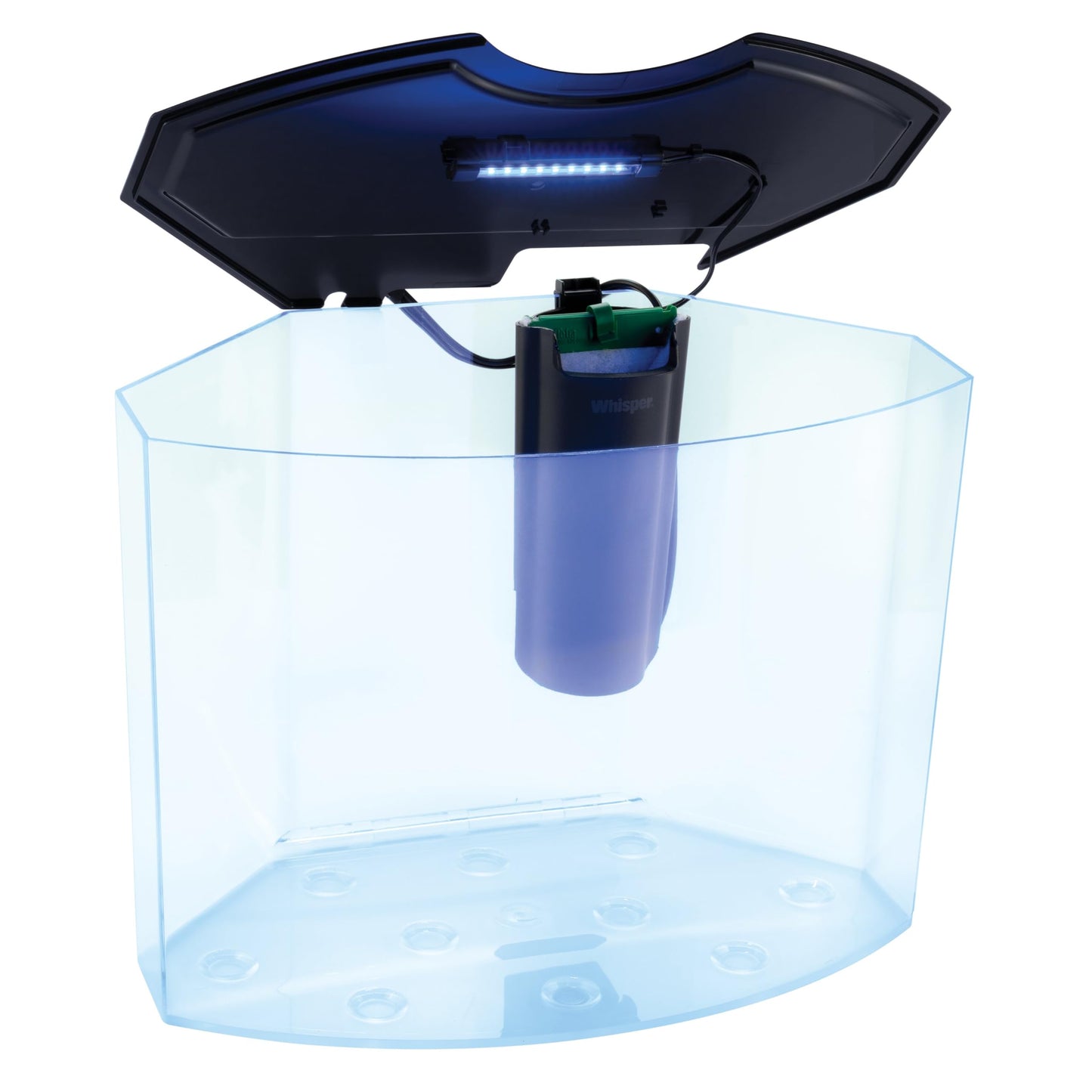 GloFish Crescent Aquarium Kit 5 Gallons, Includes Hidden Blue LED Light And Internal Filter