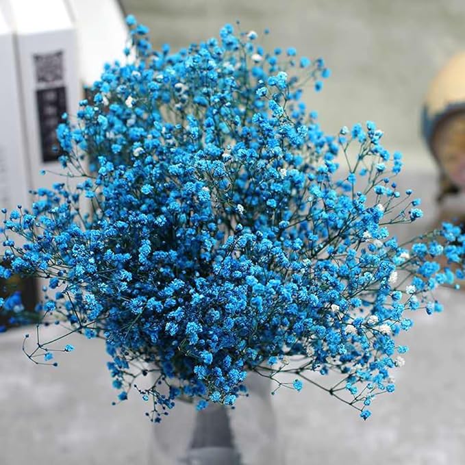 Dried Babys Breath Flowers Bouquet-17 Inch 2500+ Ivory Dark Blue Dried Flowers, Natural Dry Flowers for Wedding Flowers, Table Vase Decor, DIY Wreath Floral, Home Office Party Garden Decoration