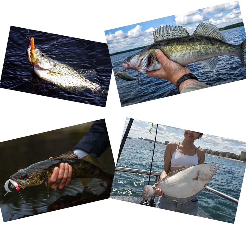 ZASIE 50lb Fluorocarbon Fishing Leader, 20in 100% Fluorocarbon Leader Line with Swivel and Snap, Saltwater and Freshwater Fishing Leaders, 20 Pack