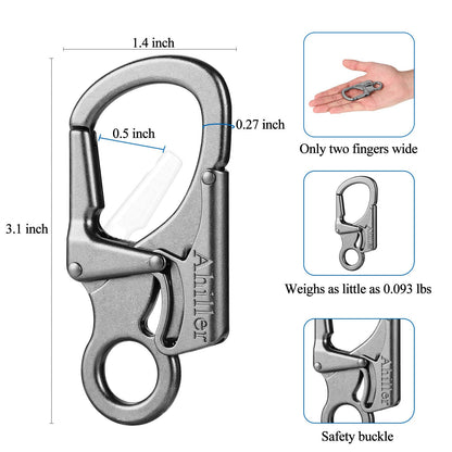 Ahiller Carabiner Clip, Double Anti-Misopening Locking Design, 3" Zinc Alloy Heavy Keychain for Outdoor Camping Hiking, Key Ring Clip (Gunmetal-2P)