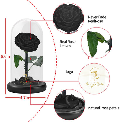 SW Forever Preserved Real Black Rose Flower Birthday Gift for Mom Women,Valentines Eternal Flower in Glass Gifts for Mothers Day Christmas Anniversary Birthday (Black)