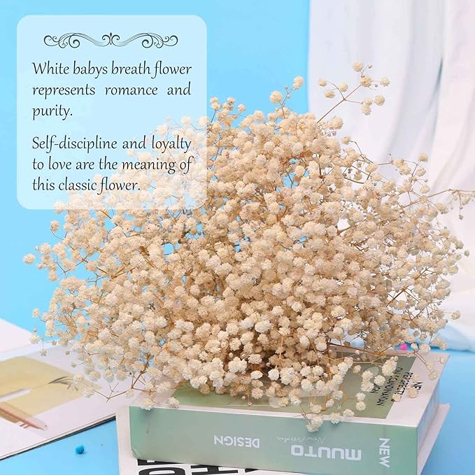 Babys Breath Dried Flowers Bouquet-17'' 3000+ Dry Flowers, Natural Gypsophila Branches for Wedding, Home Table Vase Decor, DIY Wreath Floral, Fall Thanksgiving Autumn Decoration (Ivory White, 3oz)