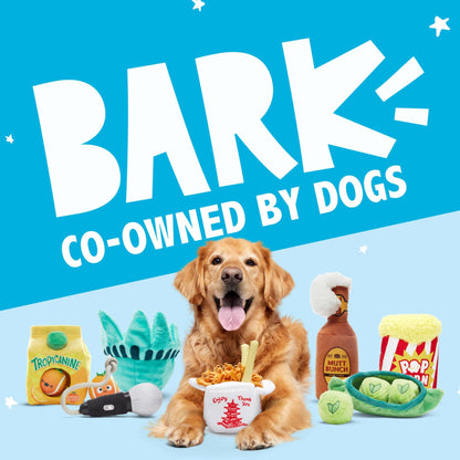 Barkbox Squeaky Dog Toys - Plush and Squeak Chew Toys | Puppy and Pet Toys for Large Dogs Pinata - Large