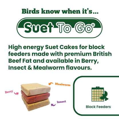 Suet To Go Mealworm Suet Block Wild Bird Treat, 300 g ( Pack of 10) (Packaging may vary)