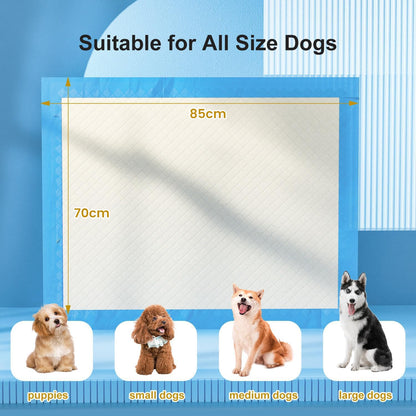 Gardner Pet Extra Large Puppy Pads 70x85cm, Ultra Absorbent Thicker Puppy Training Pads, 6 Layers of Leak-proof, Edge-Wrapping, Fast Drying, Suitable for Dogs, Cats, Rabbits (30 Pack, Blue)