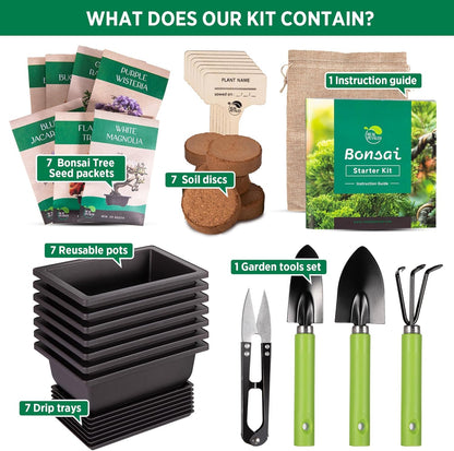 REALPETALED Bonsai Starter Kit – Japanese Bonsai Tree Kit 7 Seeds Pots – Complete Grow Your Own – Plant Lover Gifts Home Gifts for Men and Women
