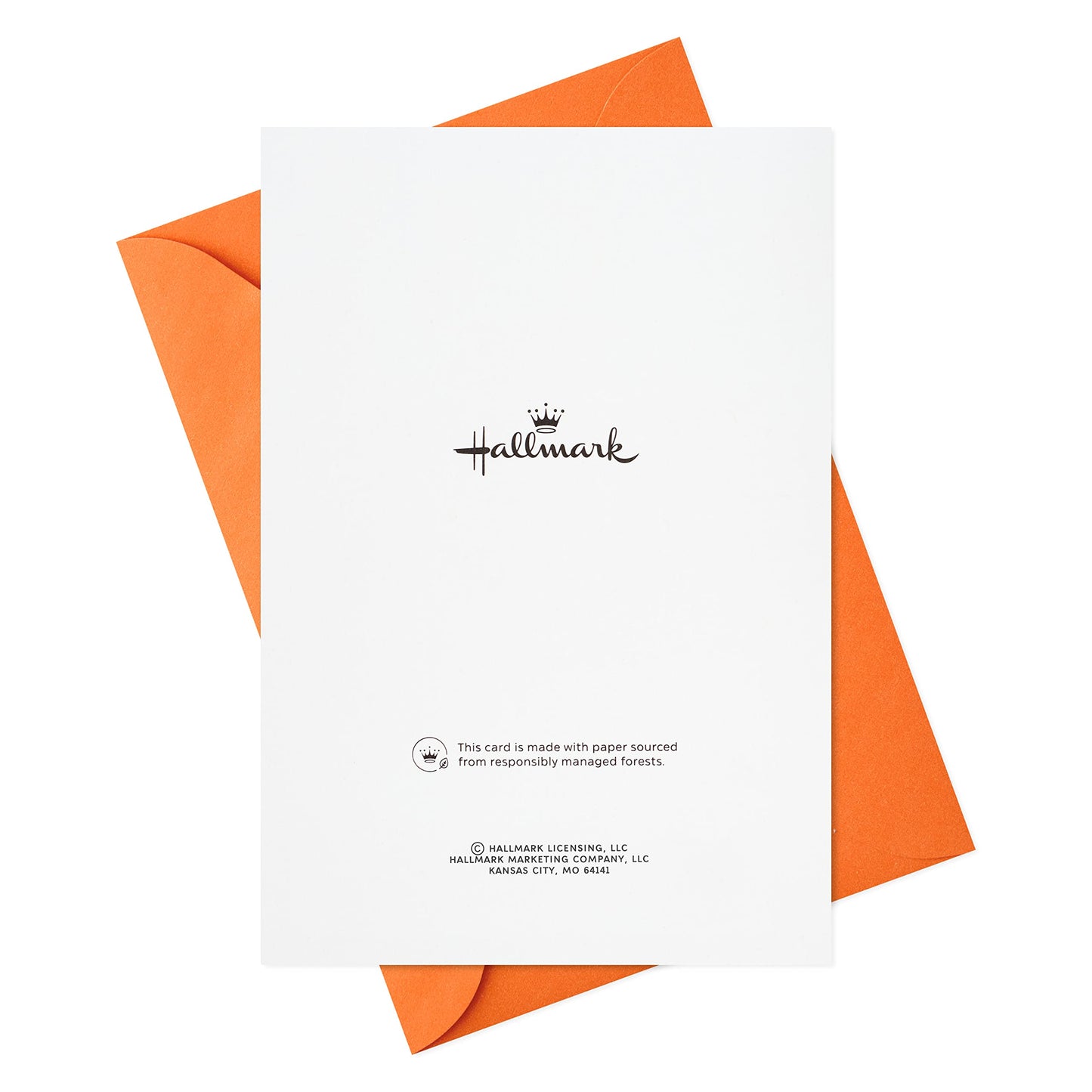 Hallmark Pack of Halloween Cards, Cat in Witch Hat (6 Cards with Envelopes)