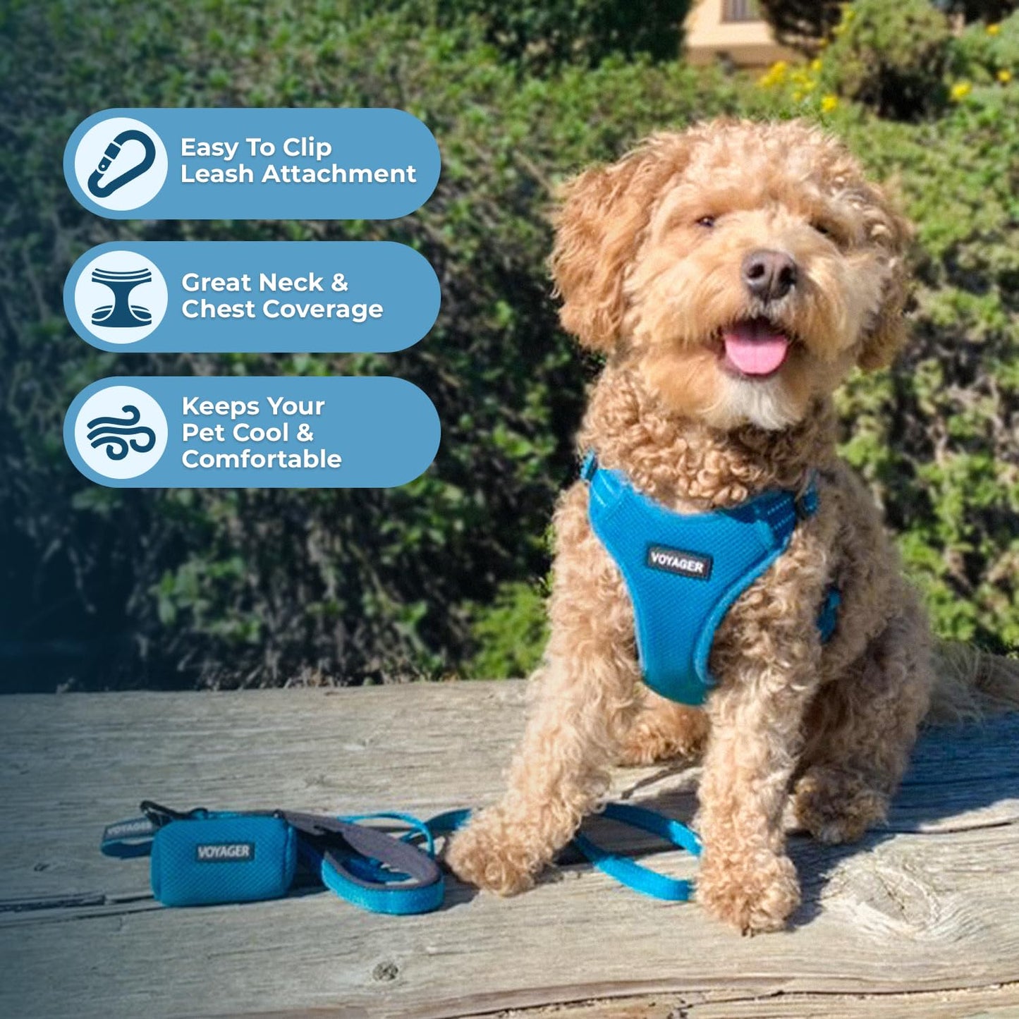Best Pet Supplies Voyager Adjustable Dog Vest Harness Breathable No Pull Harness for Small, Medium, Large Dogs, Harness for Walking, Jogging, Easy Step-in, Reflective Stripes - Turquoise, S