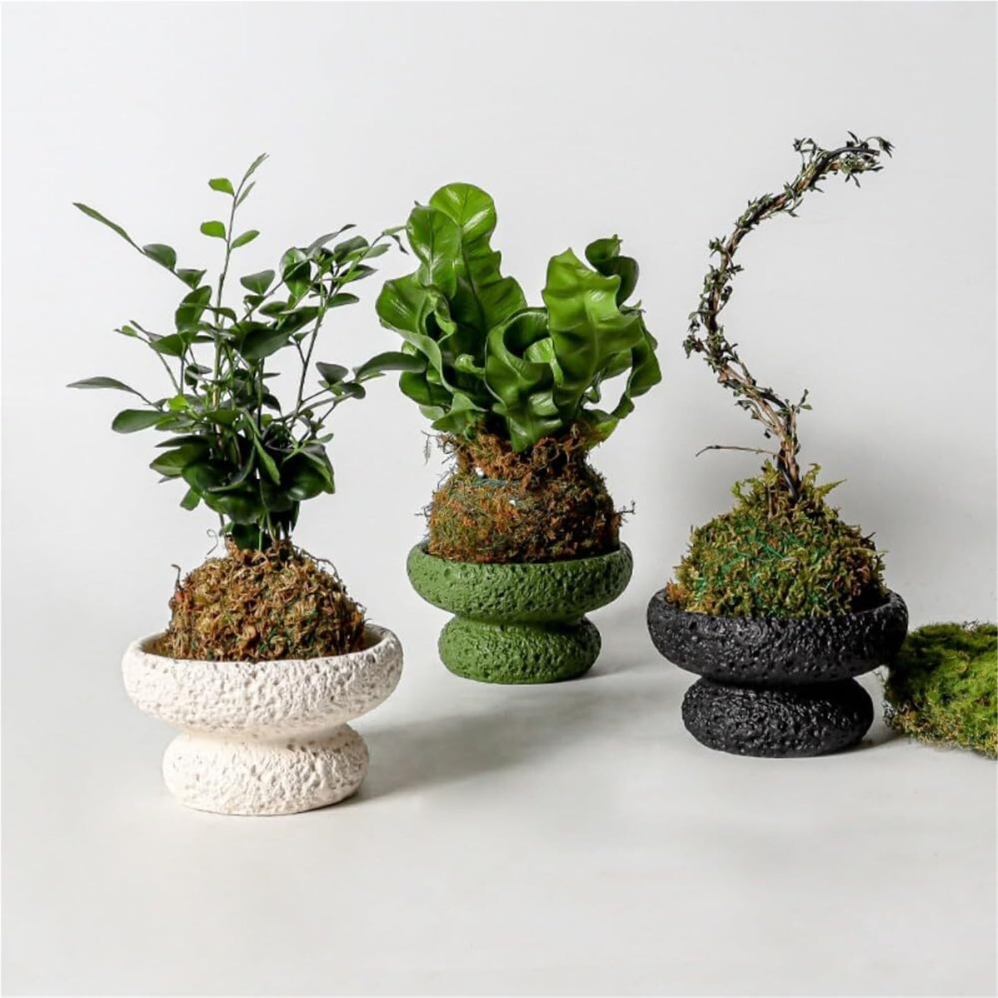 FXLTHIYBO Sleek Cement Creative Meteorite Pattern Flower Pot/Plants Flowers Bonsai Decoration Succulent for Indoor use(Purple,Large)