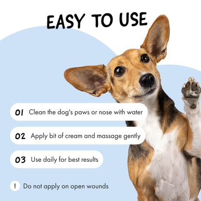Belly® Dog Paw Balm 50g - 100% Natural, Lick Safe & Unscented Moisturiser for Cracked Paws, Dry Noses, Elbows & Ears - All Season Protection from Snow, Salt, Heat & Rough Surfaces - Dog & Cat Paw Balm