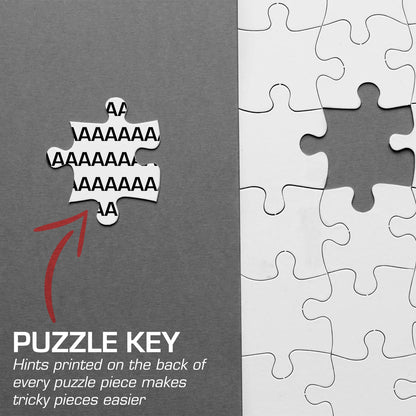 Jigsaw Puzzle for Adults 1000 Pieces - French Castle On River Cher - Size Large 27 x 20 inch - Refrence Poster 11x16, Sturdy Tight Fitting Pieces, Letters On Back, Rated Hard