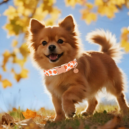 UP URARA PUP Halloween Dog Collar with Metal Buckle Gift Fall Dog Collar for Small Medium Large Girls or Boys Dogs Cute Pumpkin Cotton Pet Collars