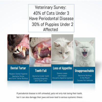 E.M&S.T by Emmeliestella Small Dog & Cat Toothbrush Micro Head, Cat Dental Care, Pets Toothbrush, Oral Hygiene, Easy to Handle, Deep Clean, Soft Bristles, Multi-Angle, Round&Pointed Toothbrush, 5 PCS