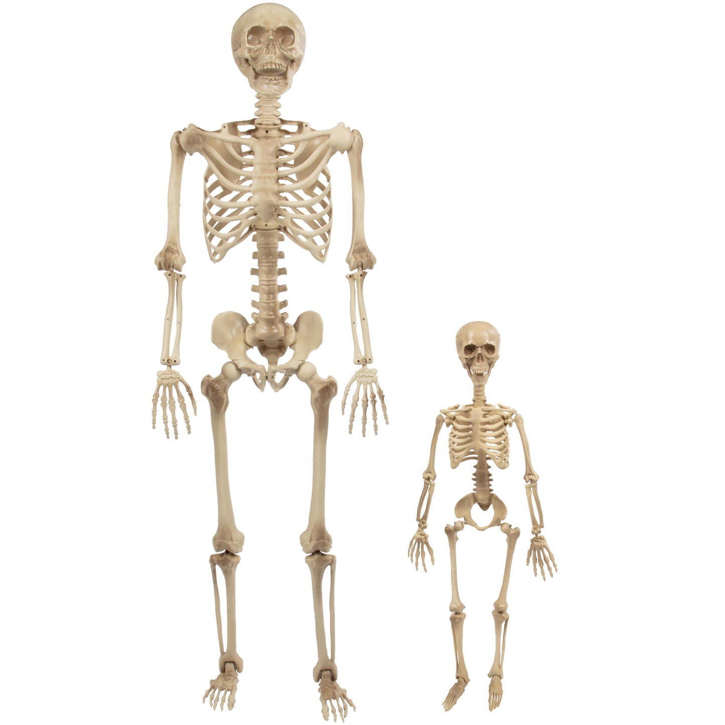 Life Size Human Skeleton Halloween Decoration Value 2 Pack- Adult 5' 4" & Child 2' - Articulated Posable Limbs Stay in Place, Weather Resistant Indoor/Outdoor- Upgrade Fall Haunted House Party Props