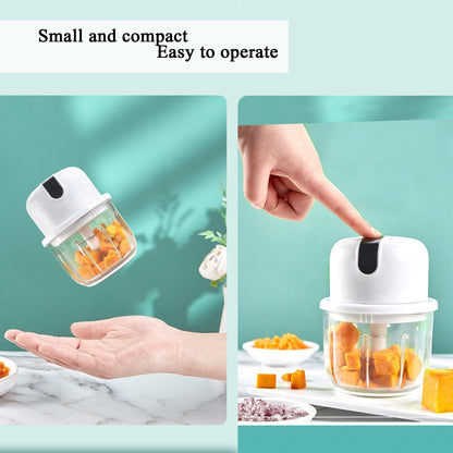 250ML Electric Garlic Chopper, Mini Portable Veggie Choppers, Garlic Grinder Masher Onion Chopper, Blender to Vegetable, Wireless Food Processor for Ginger, Chili, Fruit, Meat, etc