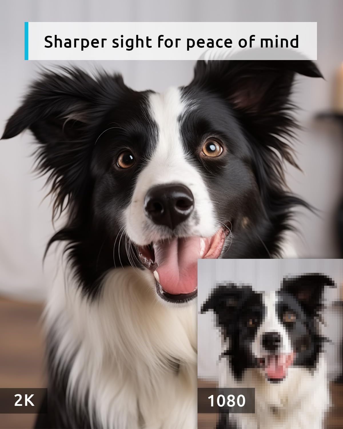 blurams Pet Camera 2K, 360° Dog Camera with Phone App, PTZ Indoor Cameras for Home Security Indoor, 2-Way Audio, Motion Tracking, Color/IR Night Vision, Siren, Cloud&SD(2.4GHz Only)