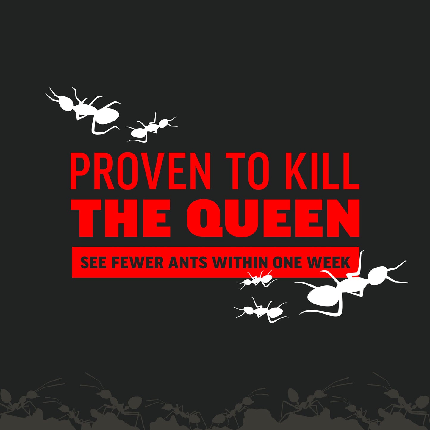 Amdro Ant Killer for Outdoor Home Perimeter, 12oz