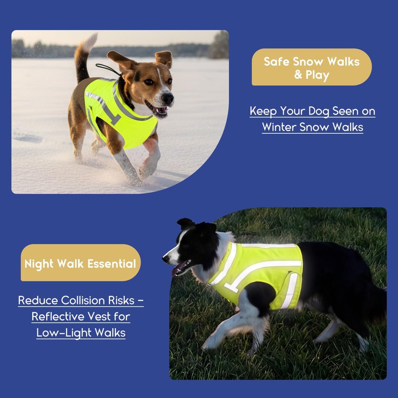 ASENKU Reflective Dog Vest, High Visibility Adjustable Hunting Vest for Pets, Dog Safety Vest for Night Walking and Outdoor Use, Green, S
