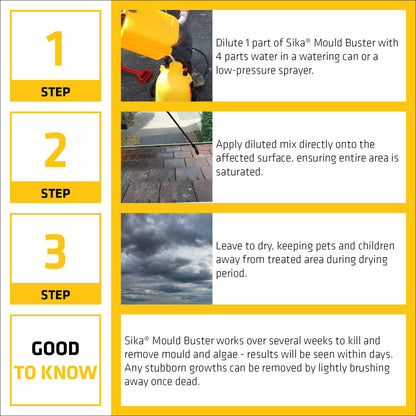 Sika Mould Buster 5Lt