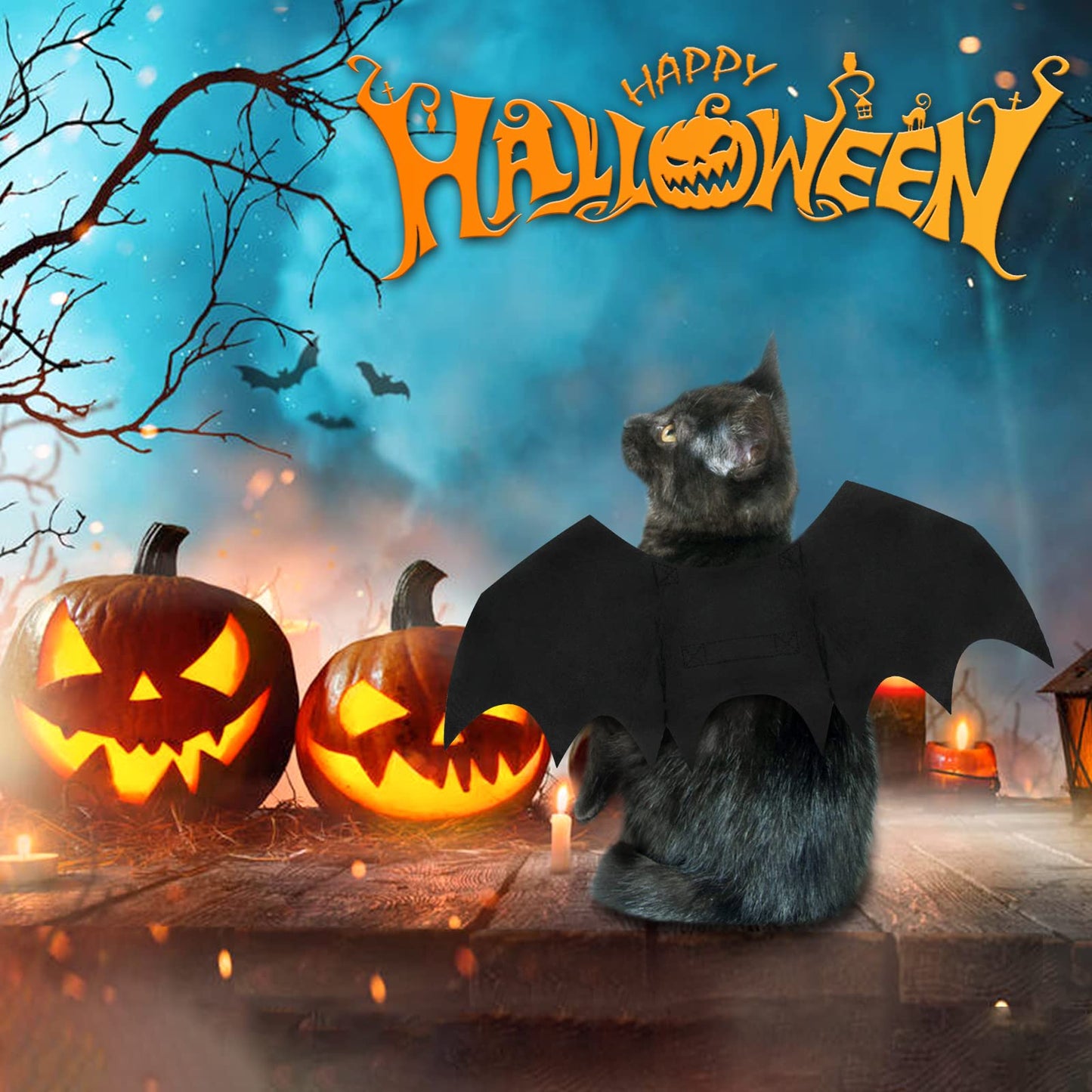 Malier Halloween Cat Costume for Cats Dogs Pet Bat Wings Cat Dog Bat Costume Wings