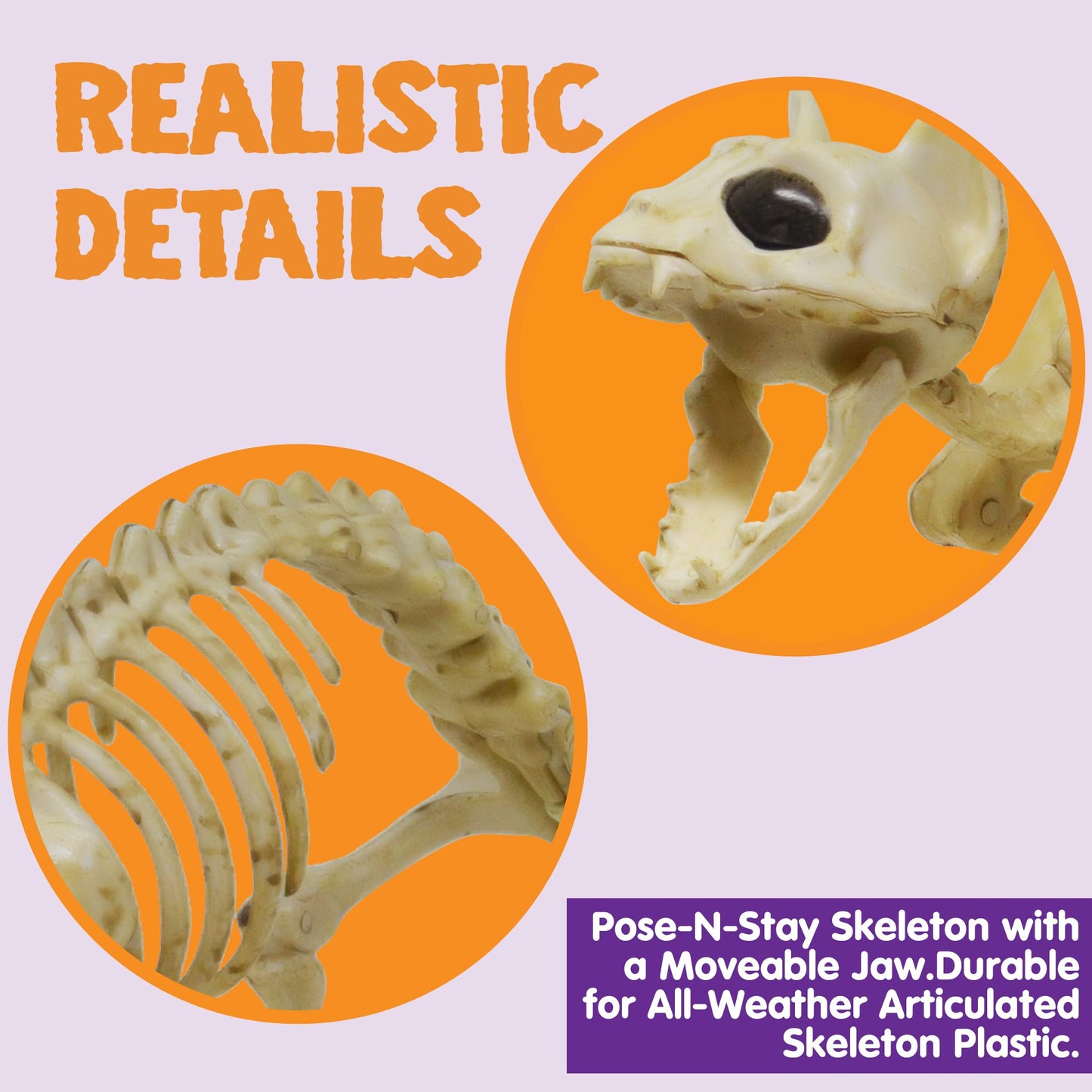Skeleton Cat and Rat Skeleton for Halloween Decorations, Skeleton Animal Yard Decor and Reaper Bones Animals