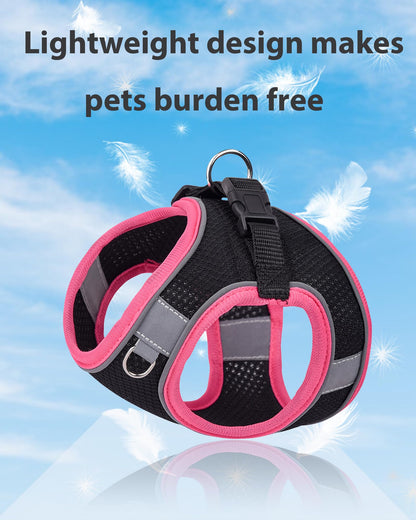 Aecllcea Dog Harness for Small Medium Sized Dog, Step in Puppy Harness and Leash Set Training Walkings. (Black, M)