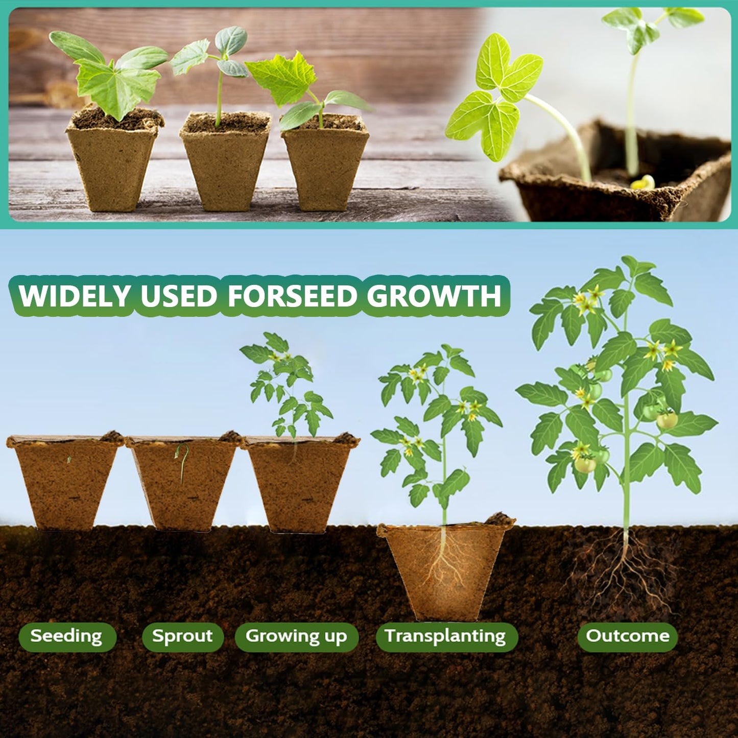 Doubleggs 120 Cells Seed Starter Tray, 10 Pack Biodegradable Peat Pots with 100 Labels, Plant Starter Kit for Seedlings