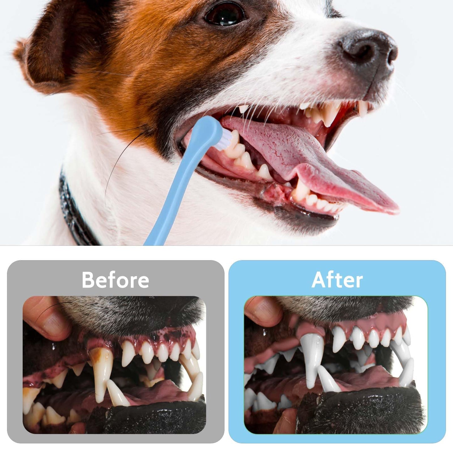 2 Pack Dog and Cat Toothbrush Kit - Mini Head Soft Brush for Deep Clean - Suitable for Puppy, Kitten, Small Pets - Portable Travel Friendly and Easy to Use