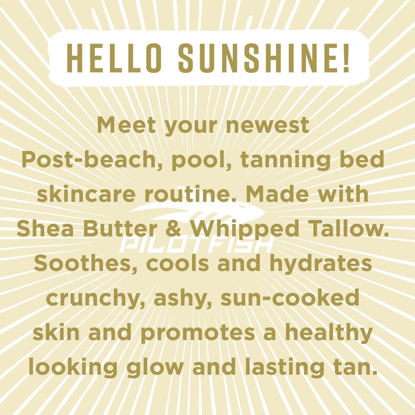 Pilotfish After Sun Body Butter Moisturizing Cream - Shea Butter & Whipped Tallow, Simple Ingredients, After Sun Lotion, Body Lotion, Cucumber, After Sun Care, After Sun Skin Care, 3.8oz