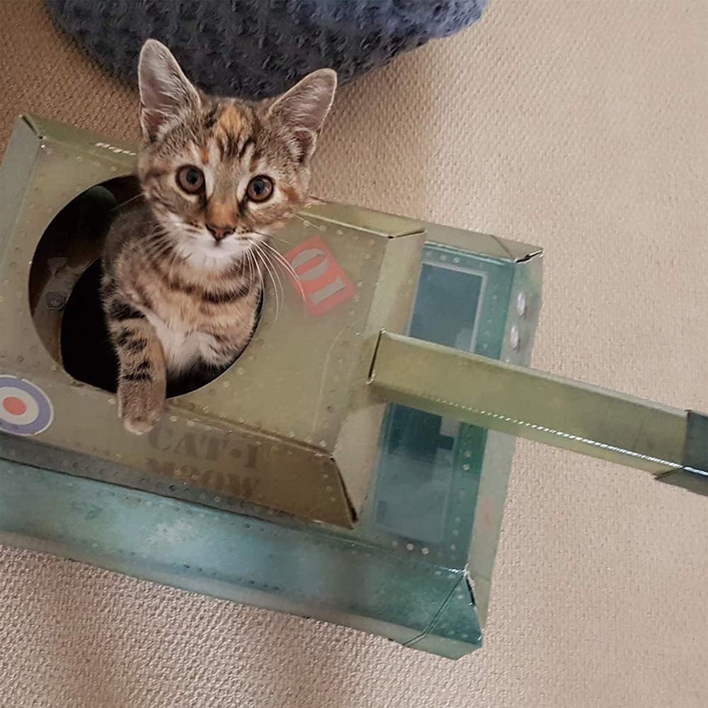 Suck UK | Tank Cat House | Cardboard Kitten Toys & Cat Bed | Interactive Cats Toy for Kittens & Cats | Novelty Kitten Accessories & Kitten Gifts | Indoor Toys or Outdoor House & Cave | Green