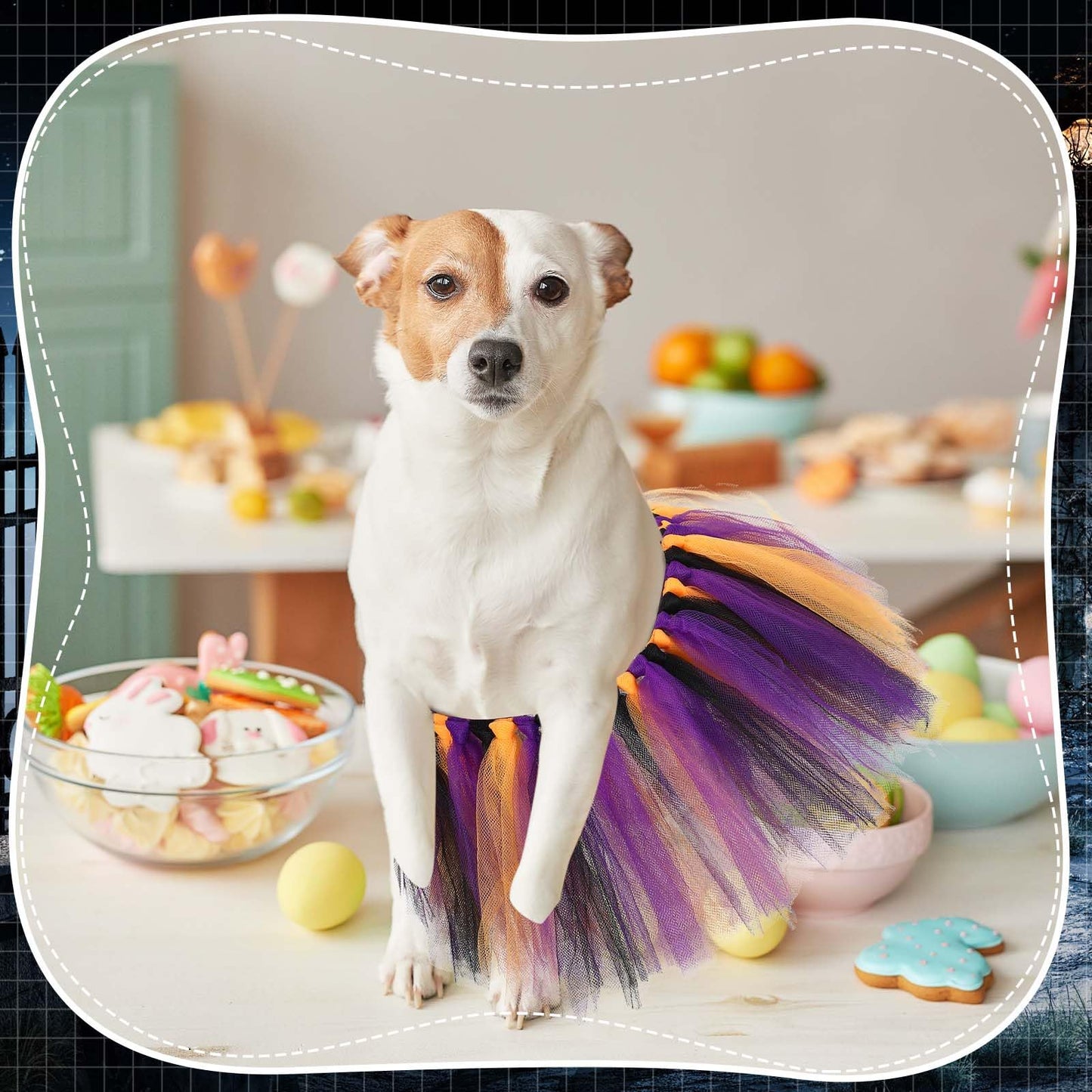 Locmeo Dog Tutu Tulle Tutu for Dogs Small Large Medium Puppy Dress Ballerina Costume Skirt for Halloween Puppy Cats Bunny Pet Outfit Birthday Wedding Party Photo Prop Supplies(Halloween Color)