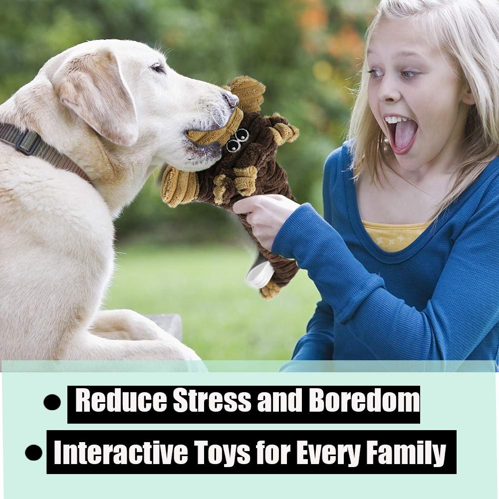 AWOOF Indestructible Squeaky Dog Toys Pack of 3 for Large Dogs and Puppies