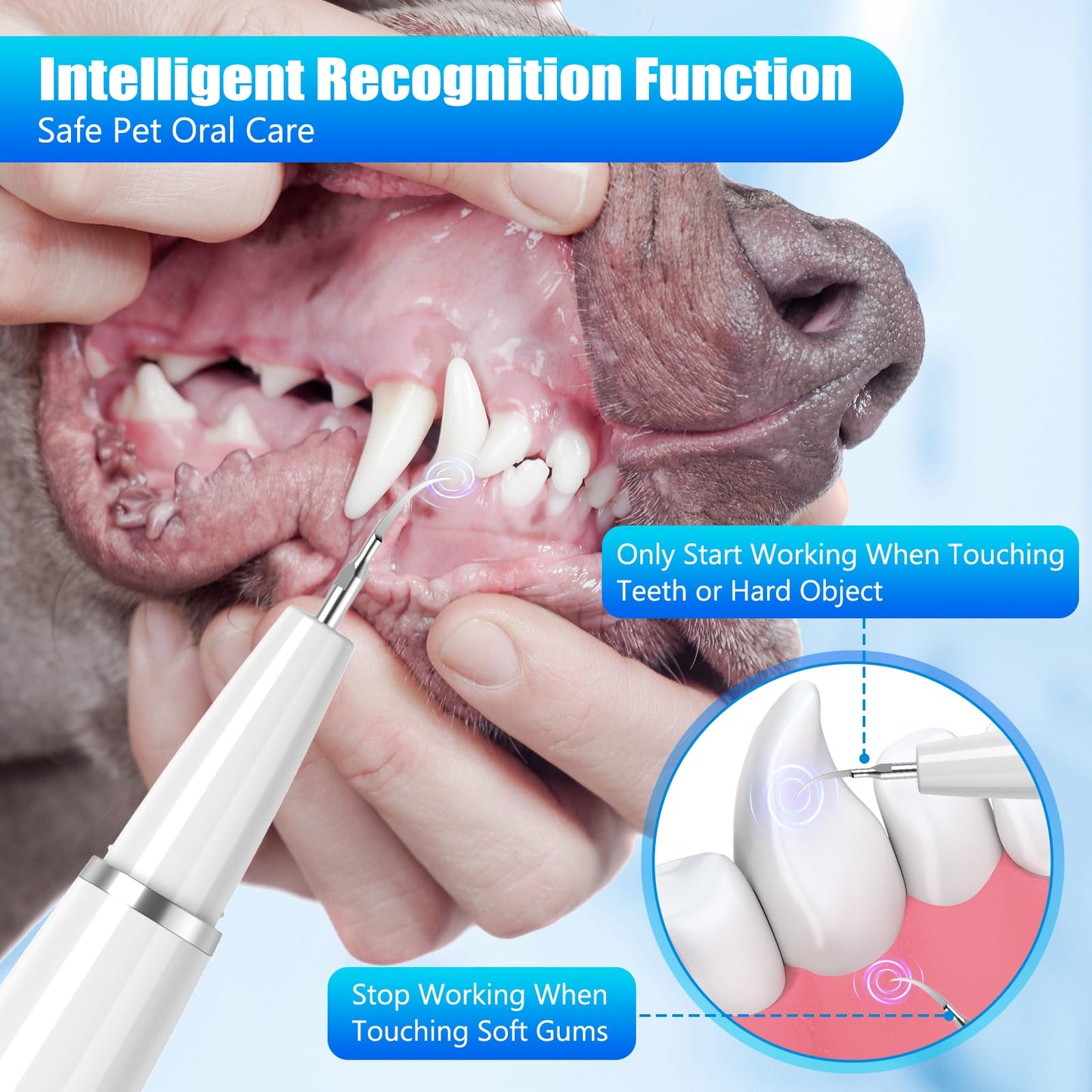 Dog Tartar Remover for Teeth, Dog Teeth Cleaning Kit with LED Light and 5 Modes, Teeth Cleaner for Dogs and Cats,White