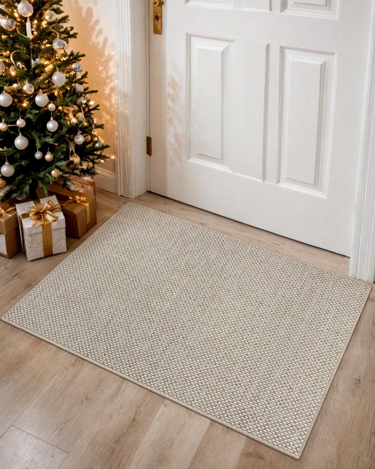 DEXI Ultra Thin Door Mat Indoor Entrance 24x36, Non Slip Rubber Backed Entryway Mats Dirt Trapper, Low Profile Front Doormat for Inside Entry, Patio, Porch, Beige