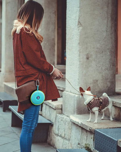 KALLAK Portable 2 in 1 Pet Bowls with Zipper Carrying Case and Carabiner, Collapsible Double Travel Dog Bowls for Food and Water Feeding, Foldable Camping Dog Cat Bowl