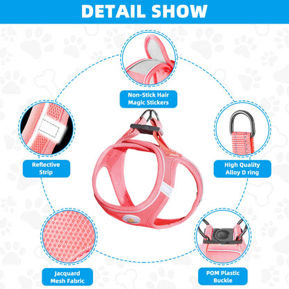 Hipubby Dog Harness and Leash Set, No Pull Soft Mesh Puppy Harness for Small Medium Dogs, Cats - Step in Adjustable Reflective Pet Harness with Buckle and Double D-Rings - Pink, XS