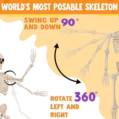 JOYIN 36" Halloween Skeleton Decor, 3FT Full Body Stayable Movable Joints, Posable Hanging Skeletons for Halloween Decoration, Yard, Graveyard, Haunted House Props, Spooky Scene Party Favor