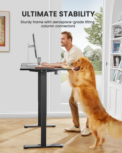 ErGear Height Adjustable Electric Standing Desk, 48 x 24 Inches Sit Stand up Desk, Memory Computer Home Office Desk with Two-Piece Desktop (Black)
