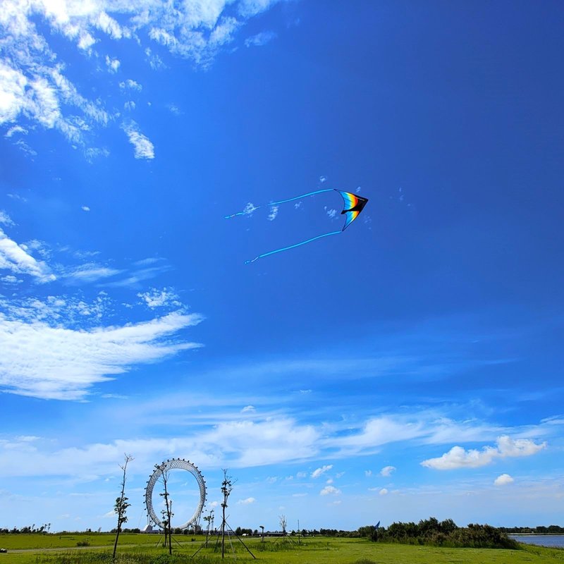 Large Beach Delta Kite for Adults and Kids Ages 4-8 & 8-12, Extremely Easy to Fly for Beginners(60X30''), Single Line Kite,Comes with 300 FT String Kite Handle.(Rainbow)