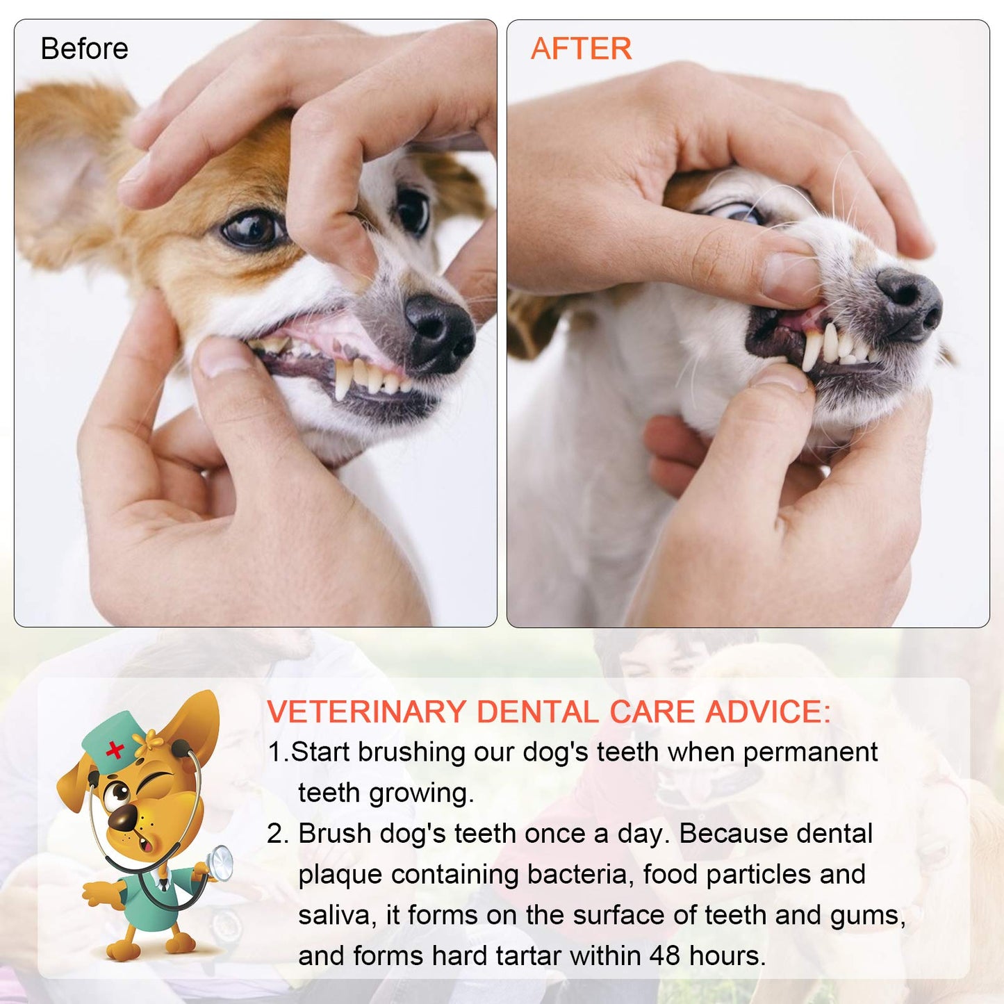 EASYA Double Headed Pet Dog Toothbrush for Small Dogs/Soft Bristles Puppy Long Handle Tooth Brush Dogs Teeth Cleaning/Bulk Toothbrushes (MIXED10)