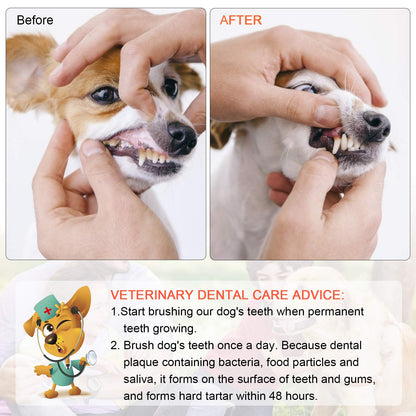 EASYA Double Headed Pet Dog Toothbrush for Small Dogs/Soft Bristles Puppy Long Handle Tooth Brush Dogs Teeth Cleaning/Bulk Toothbrushes (MIXED10)