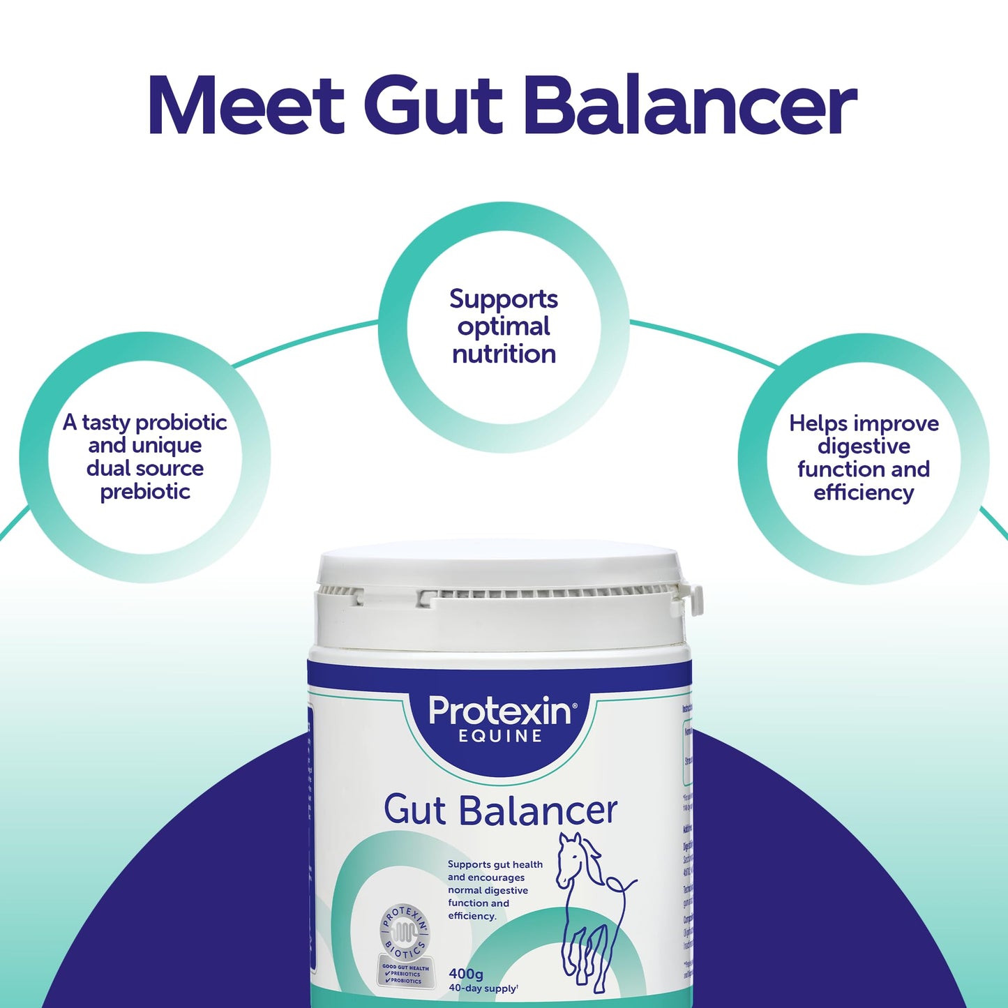 Protexin Equine Horse & Pony Gut Balancer, 700g, Advanced Digestive Support