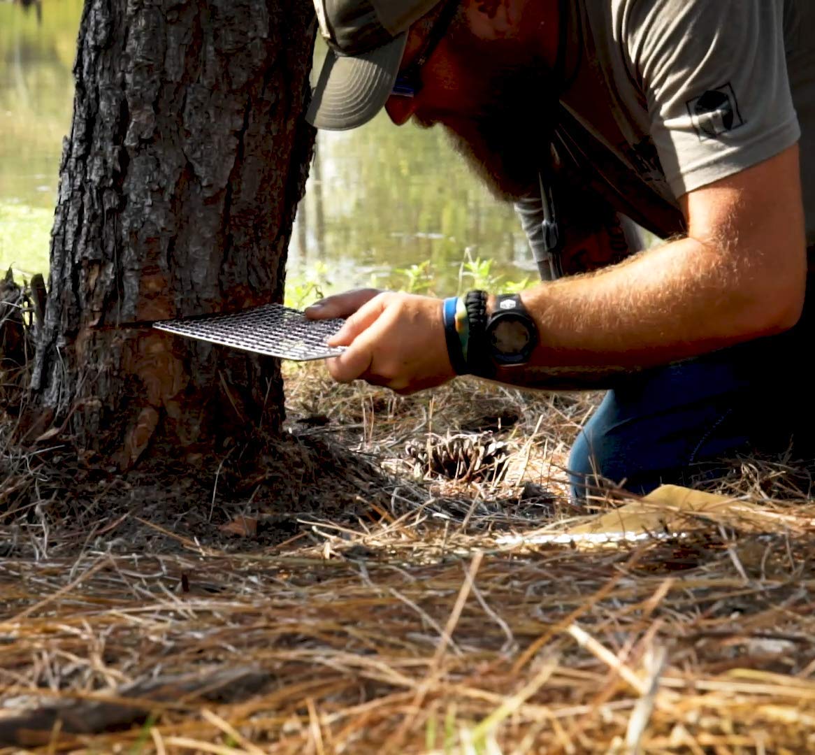 BattlBox Bushcraft Grill Stainless Steel Campfire Cooking Grate (2-Pack) Portable Camping Grate for Fire Cooking BBQ - Canvas Carrying Bag - Welded Mesh Grill Grate - Backpacking, Camping, Hiking