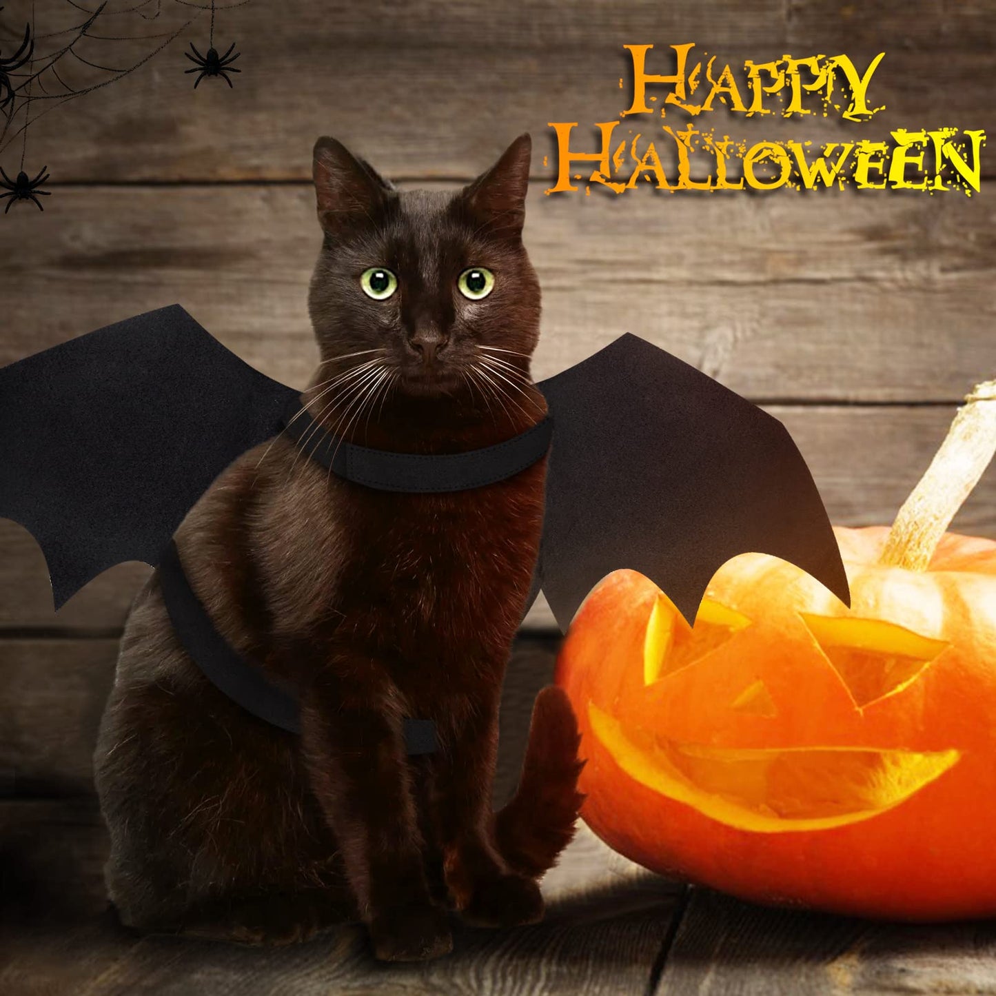 Malier Halloween Cat Costume for Cats Dogs Pet Bat Wings Cat Dog Bat Costume Wings