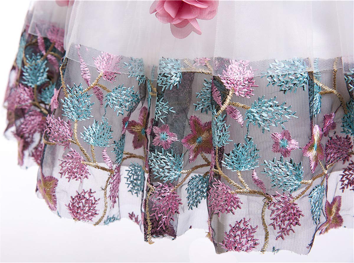 NSSMWTTC Flower Girls Dresses Frocks Child Easter Pageant Party Baby Toddler Easter A Line Dress 9M 12 Months (Pink,12M)